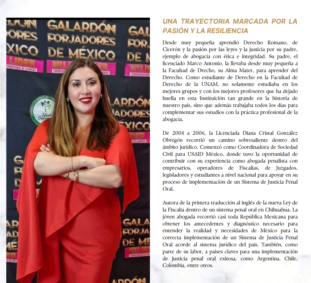 Las Principales Firmas Legales 2024